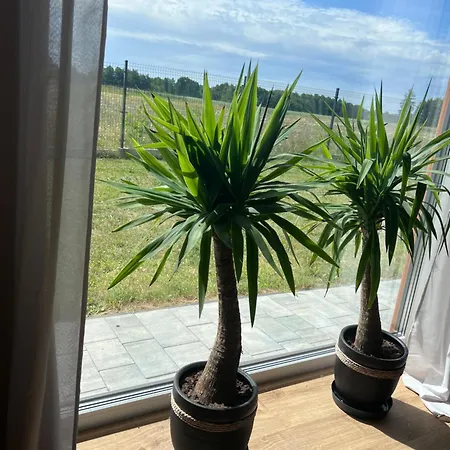 Mazurski Relaks Urowo